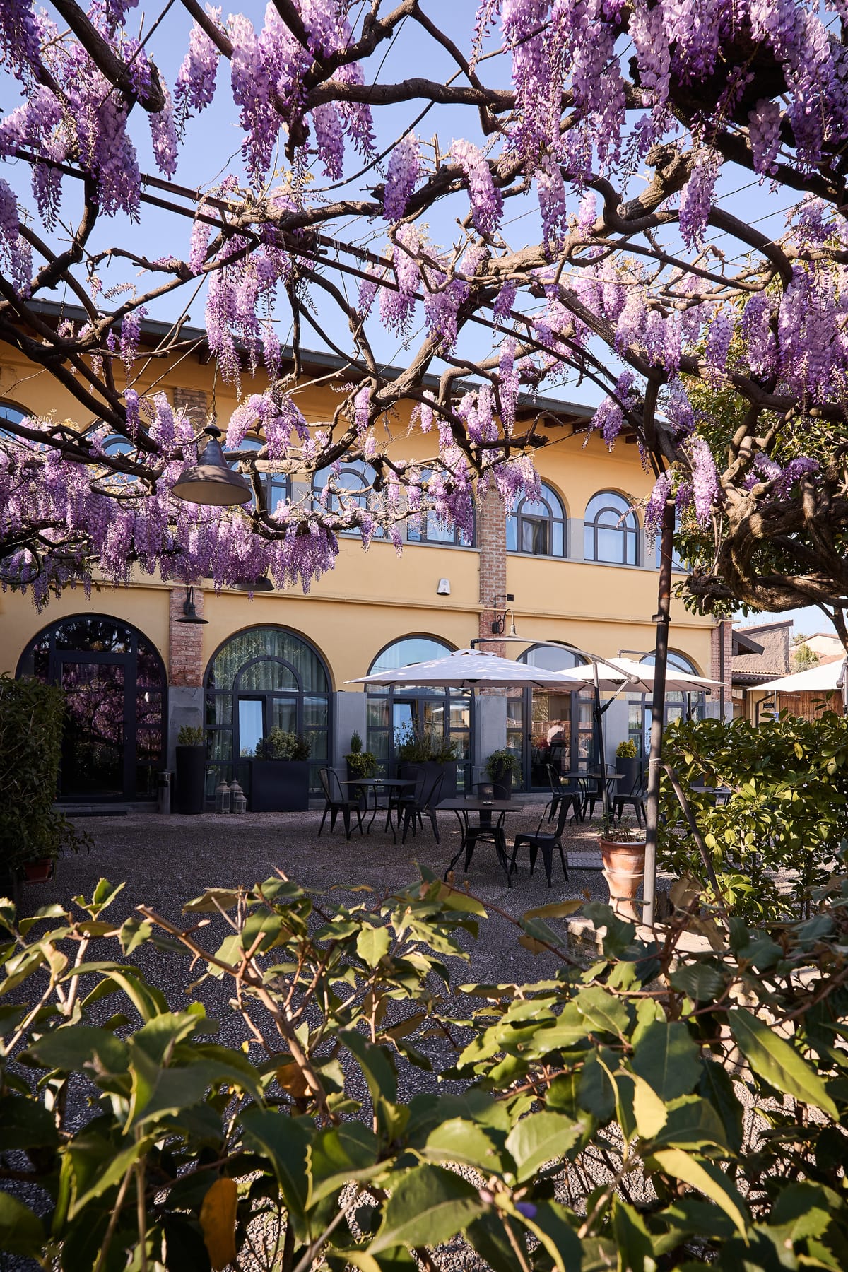 Il cortile della cascina sotto il glicine in fiore