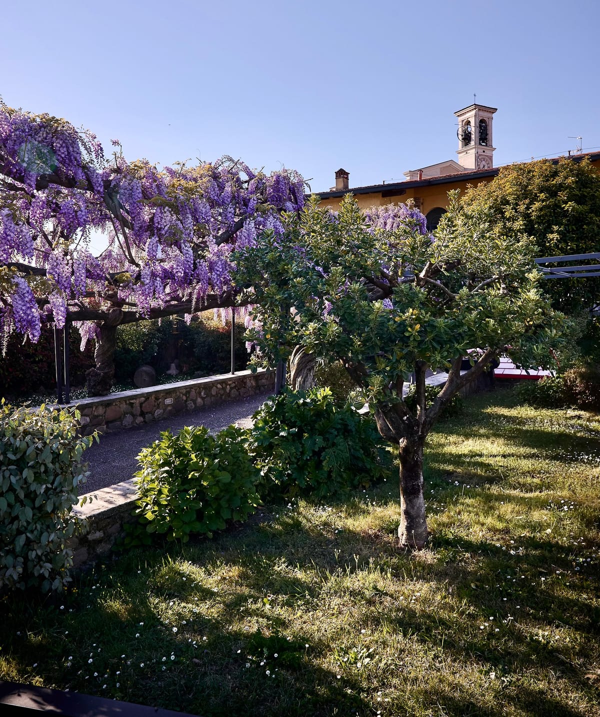 Il giardino con il campanile di Cazzago sullo sfondo