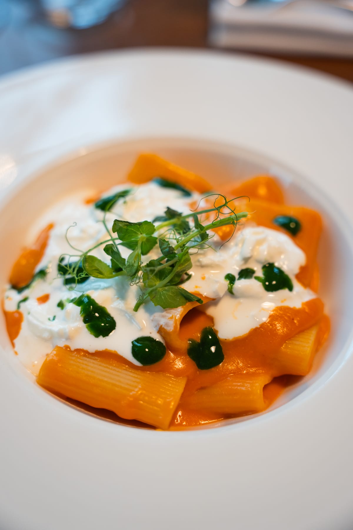 Paccheri with tomato and stracciatella