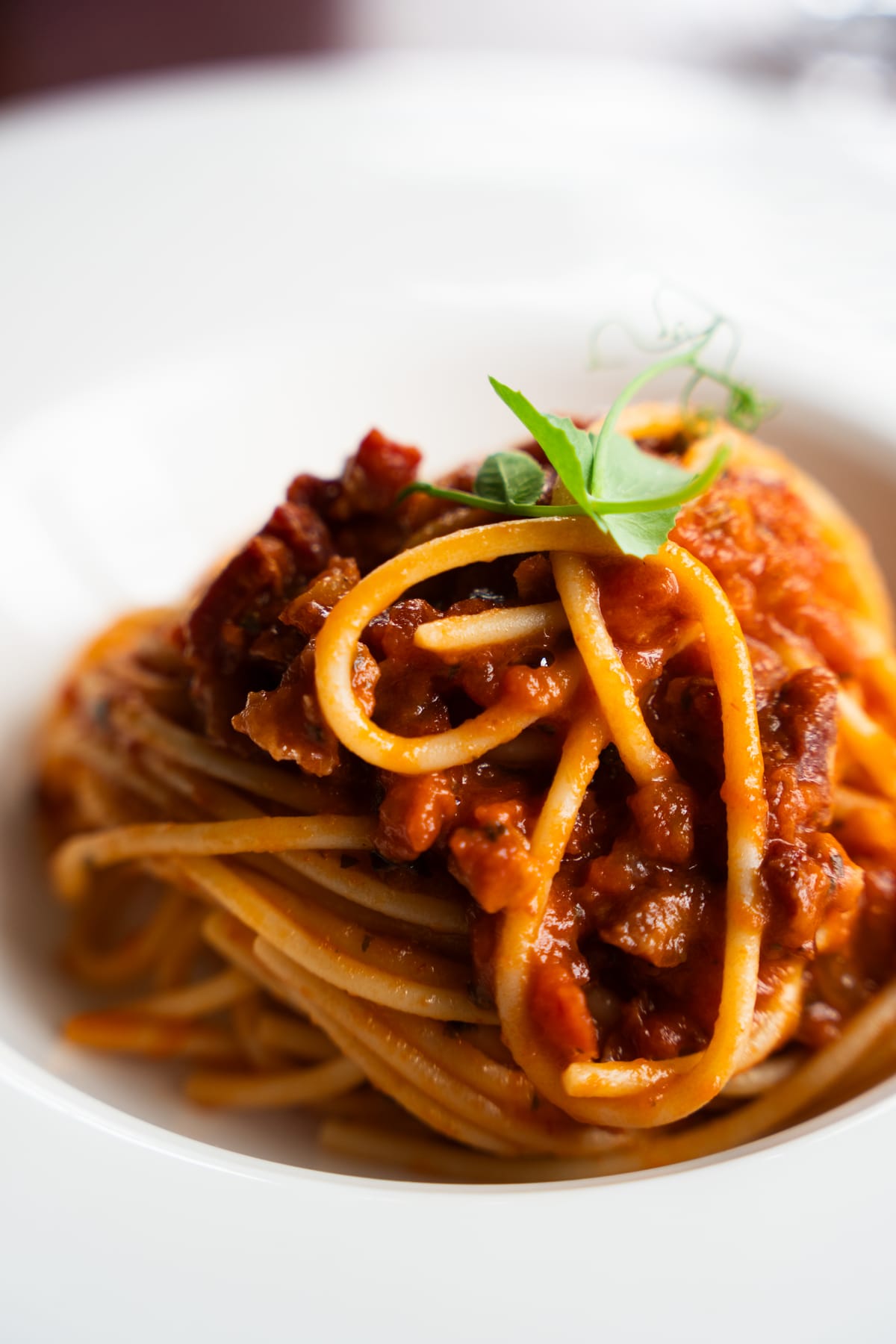 Spaghetti al ragù