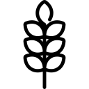 glutine Icona Allergene