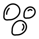 Sesamo